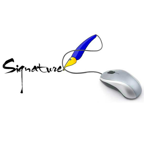 Class 3 Individual Digital Signatures